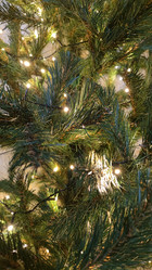 Similar image 21718156