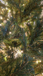 Similar image 21718157