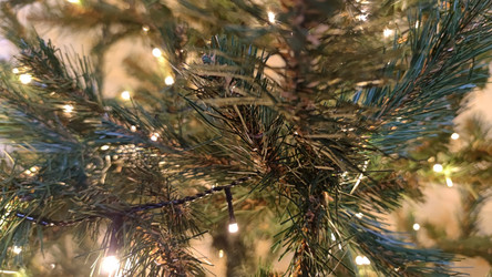 Similar image 21718158