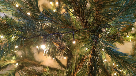 Similar image 21718159