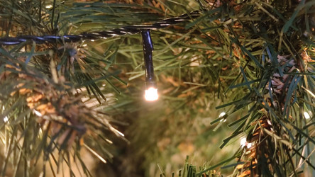 Similar image 21718160