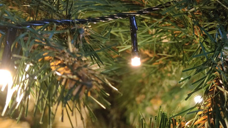 Similar image 21718161