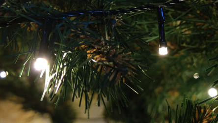 Similar image 21718162