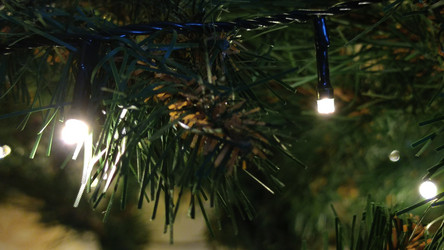 Similar image 21718163