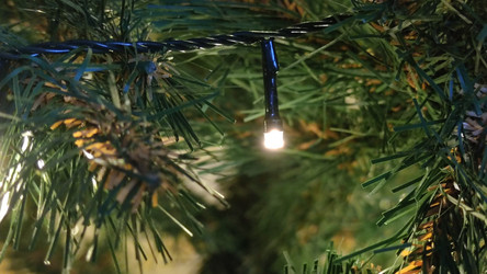 Similar image 21718164