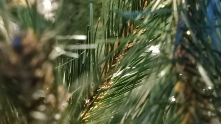 Similar image 21718166