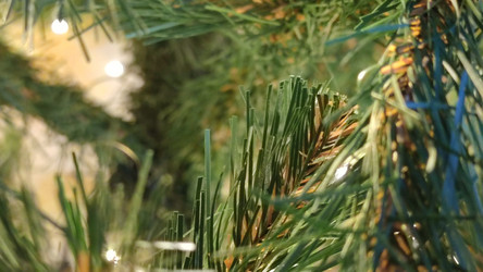 Similar image 21718167