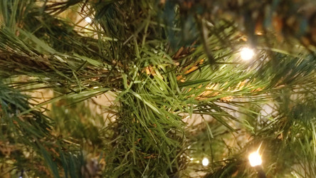 Similar image 21718168