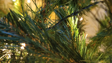 Similar image 21718169