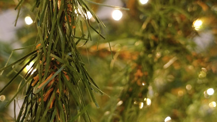 Similar image 21718170