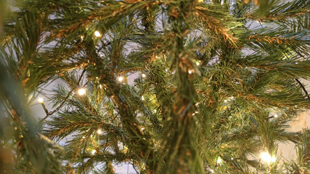 Similar image 21718172