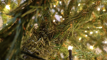 Similar image 21718173