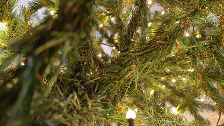 Similar image 21718174