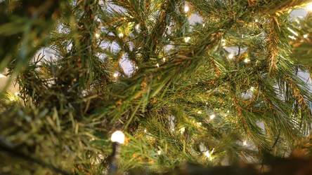 Similar image 21718175