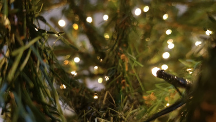 Similar image 21718177