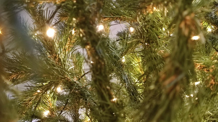 Similar image 21718178