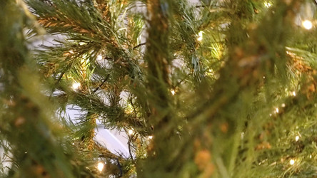 Similar image 21718179