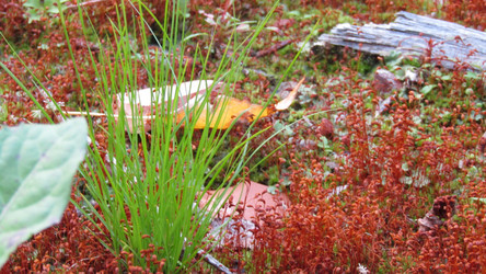 Similar image 21720007