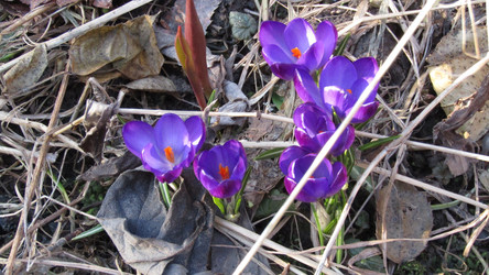 Similar image 21720023