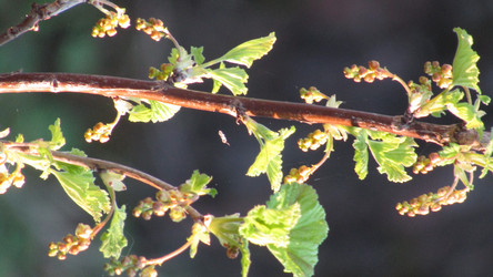 Similar image 21720008