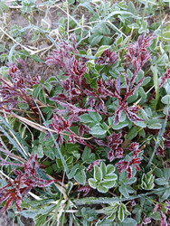 Similar image 21720009