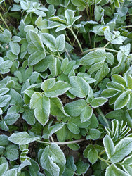 Similar image 21720010