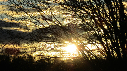 Similar image 21720011