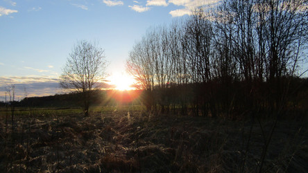 Similar image 21720012