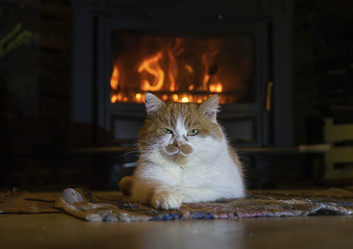 Similar image 21719224