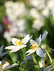 Similar image 21717609