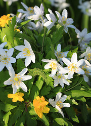 Similar image 21717610