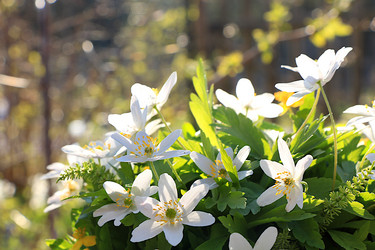 Similar image 21717611