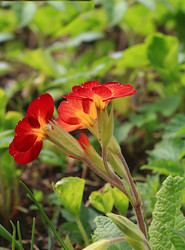 Similar image 21717612