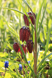 Similar image 21717613