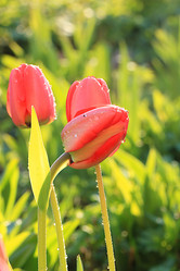 Similar image 21717615