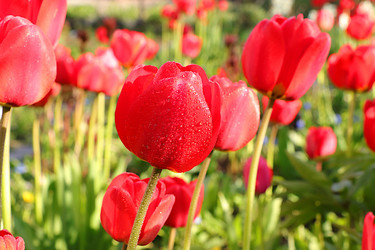 Similar image 21717616