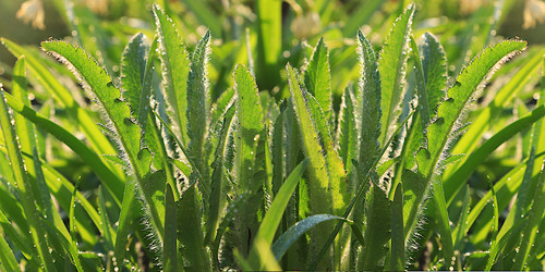 Similar image 21717617