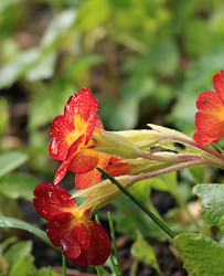 Similar image 21717618