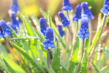 Similar image 21717619