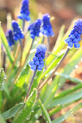 Similar image 21717620