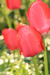 Similar image 21717621