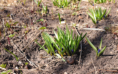 Similar image 21717622