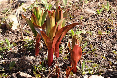 Similar image 21717623