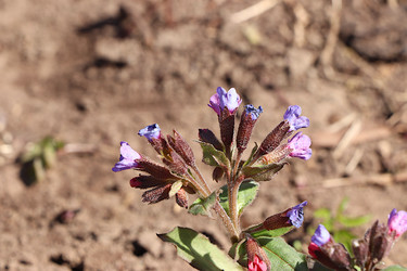 Similar image 21717624