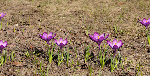 Similar image 21717626