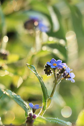 Similar image 21717627