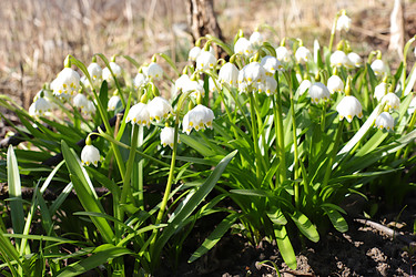 Similar image 21717628