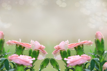 Similar image 21717630