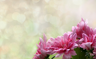 Similar image 21717632