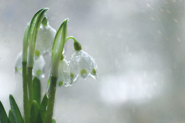 Similar image 21717647